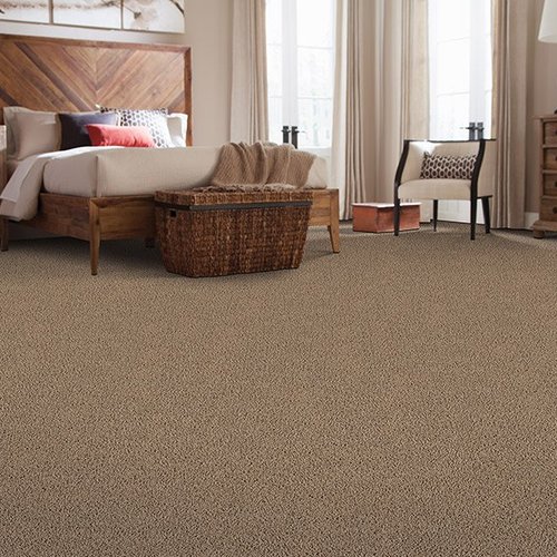 Carpet trends in Baltimore, MD from Warehouse Tile & Carpet